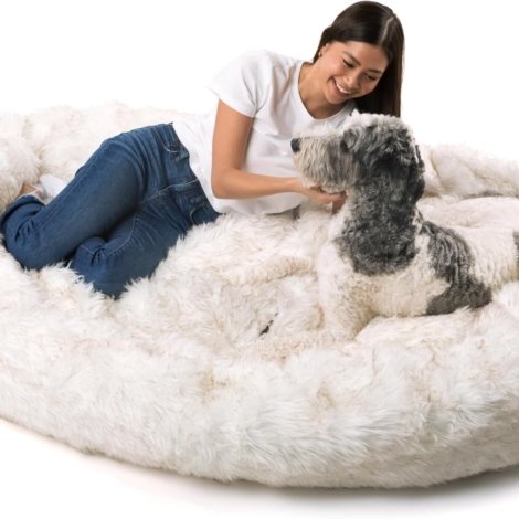 71bwDjp00PL._AC_SL1500_